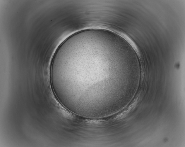 X0000100361004200806131011