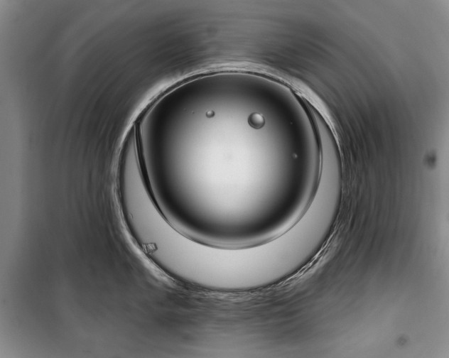 X0000100361005200806131011