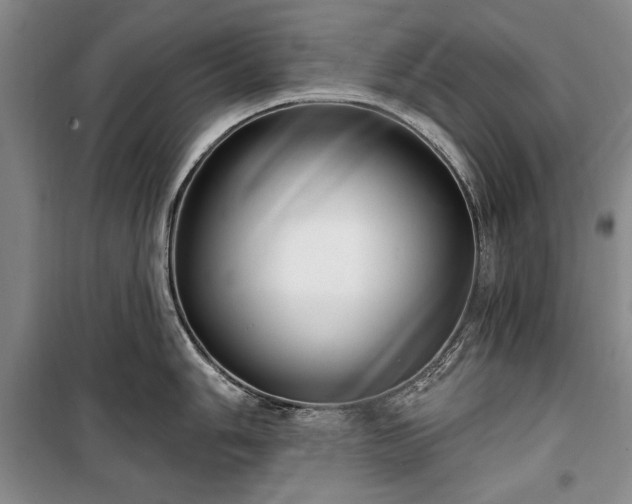 X0000100361006200806131011