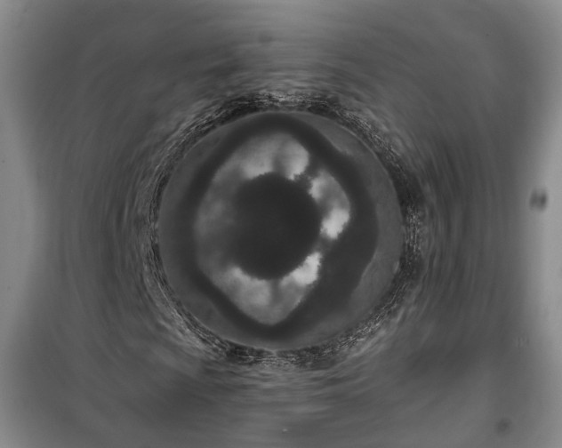 X0000100361009200806131010