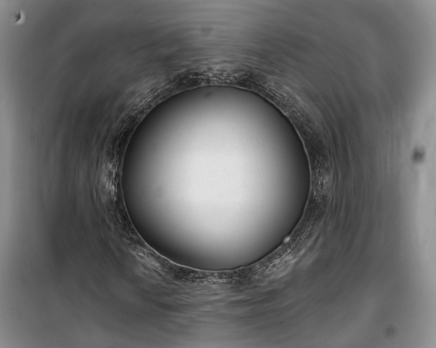 X0000100361010200806131010