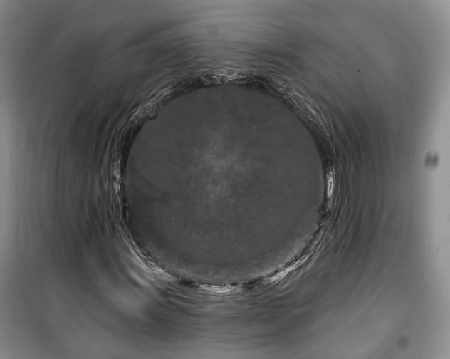 X0000100361011200806131010