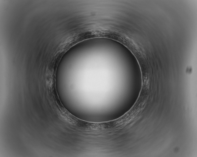 X0000100361012200806131010