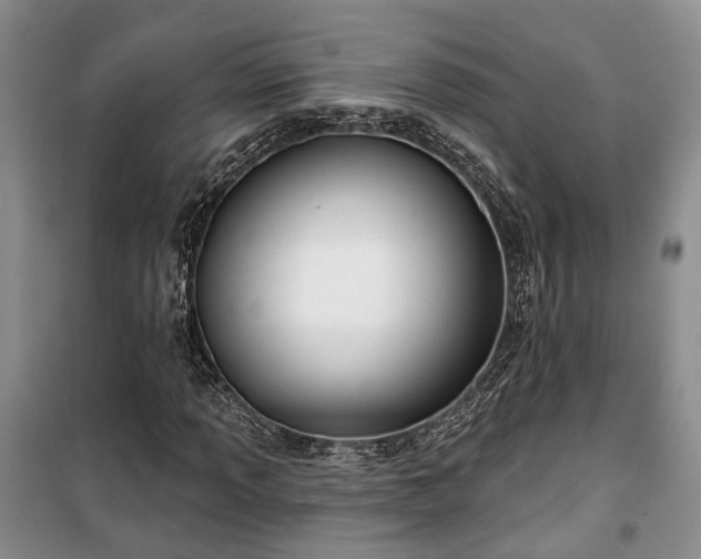 X0000100361013200806131010