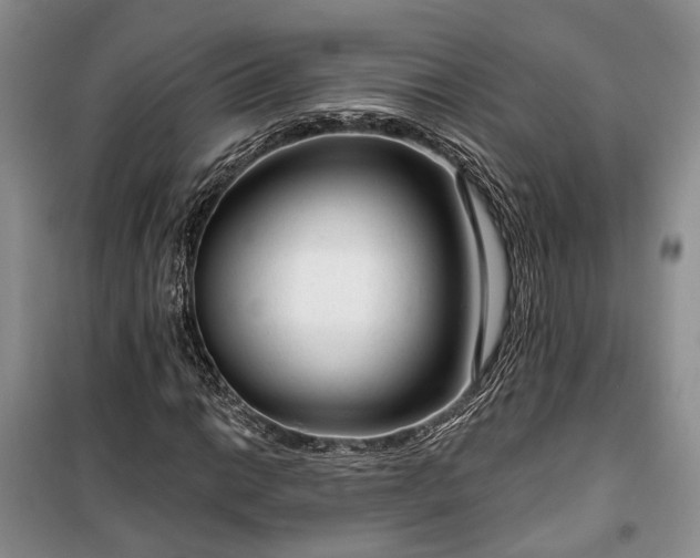 X0000100361014200806131010