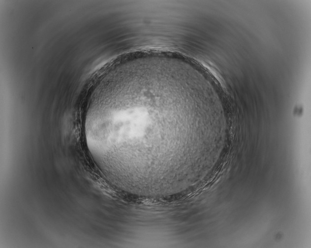 X0000100361015200806131010