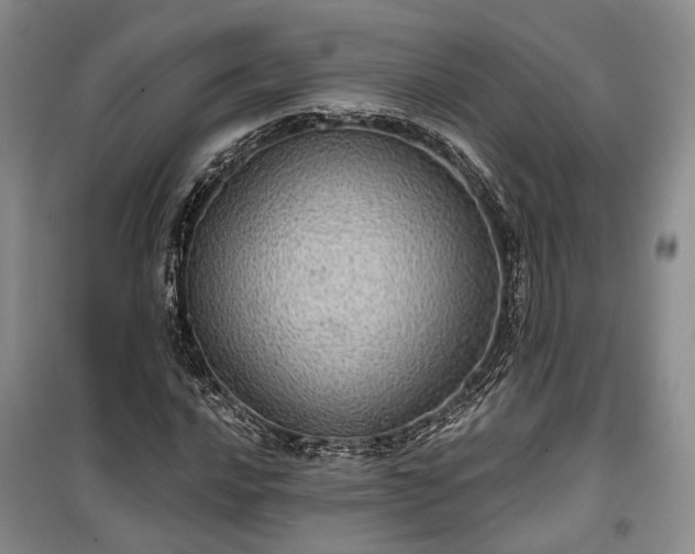 X0000100361016200806131010