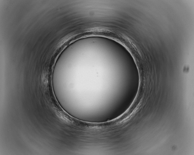 X0000100361017200806131010