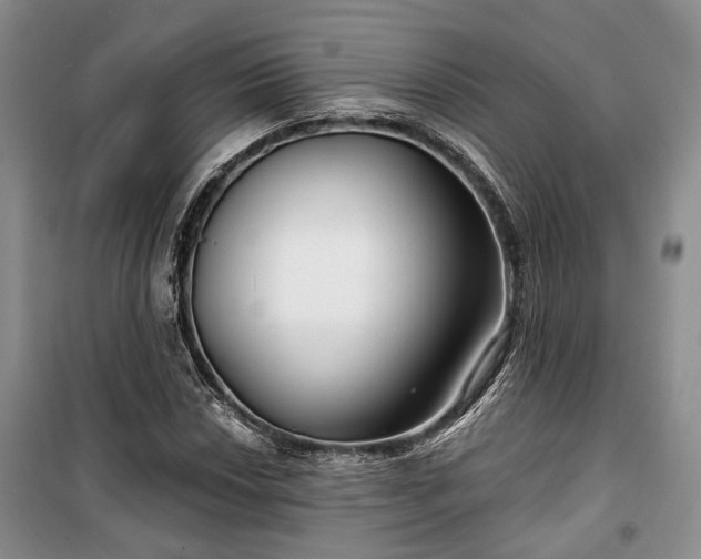 X0000100361018200806131010