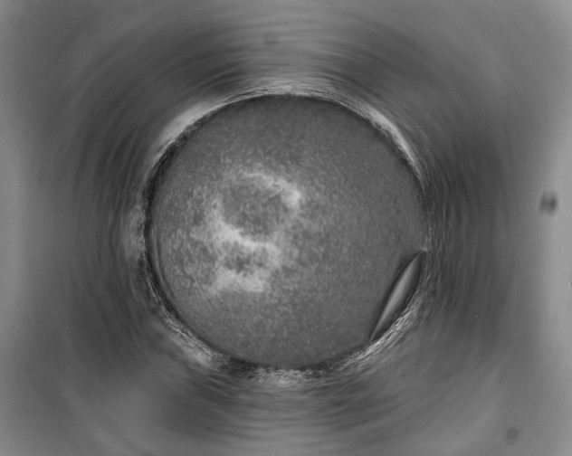 X0000100361019200806131010