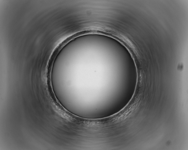 X0000100361020200806131010