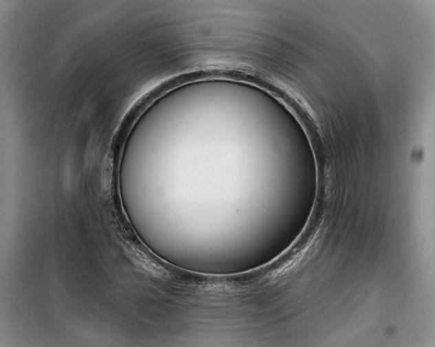 X0000100361021200806131010