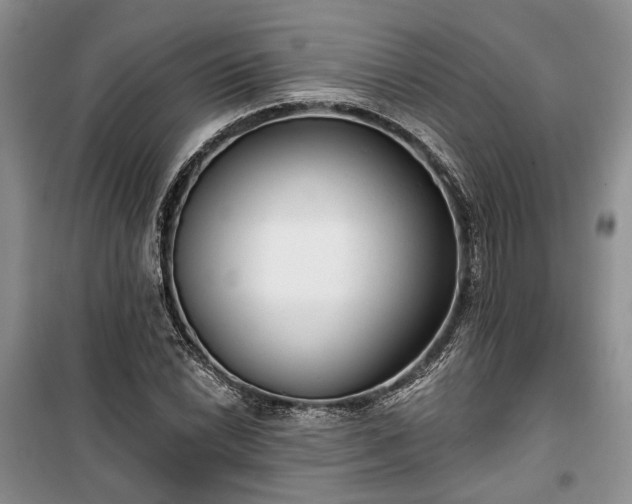 X0000100361022200806131010