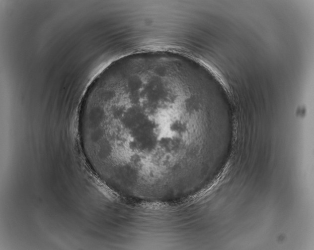 X0000100361023200806131010