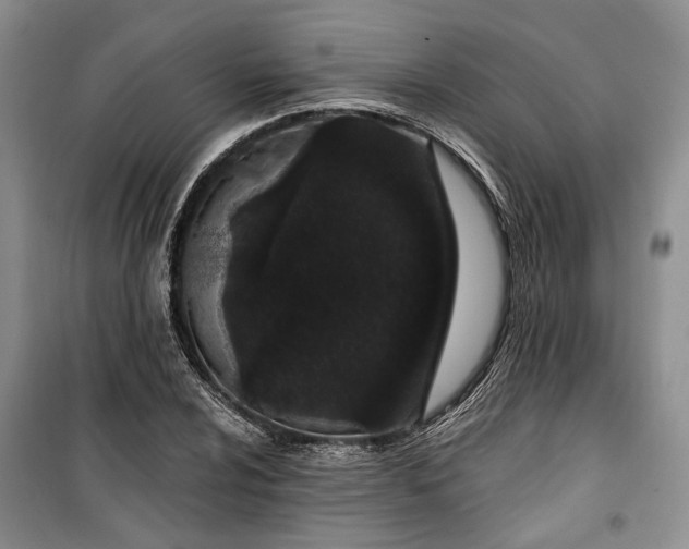 X0000100361024200806131010