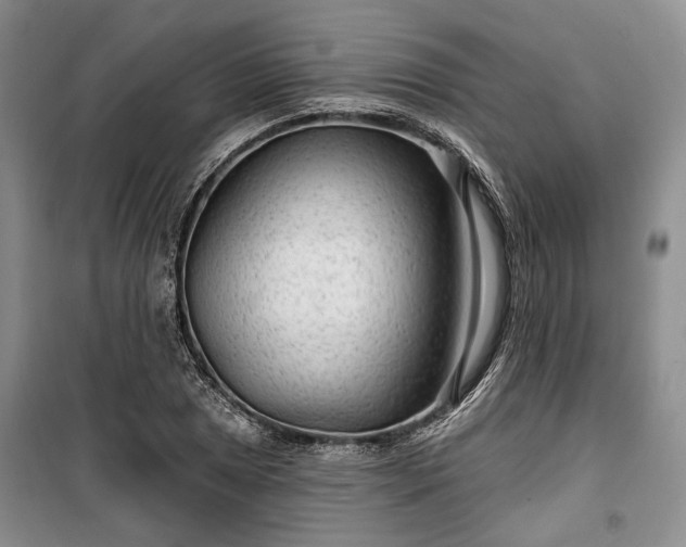 X0000100361025200806131010