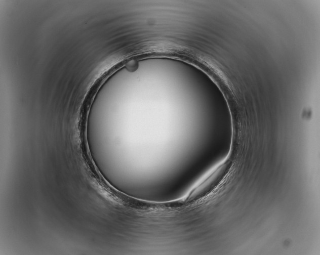 X0000100361026200806131010