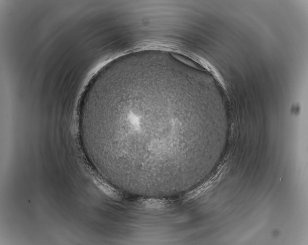 X0000100361027200806131010