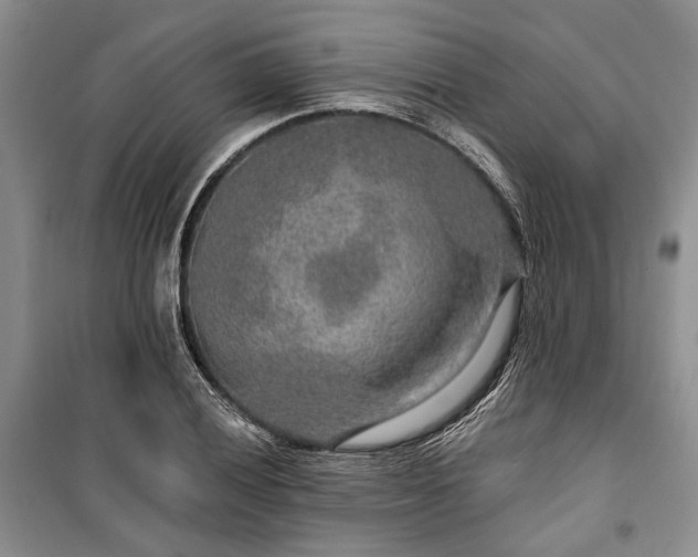 X0000100361028200806131010