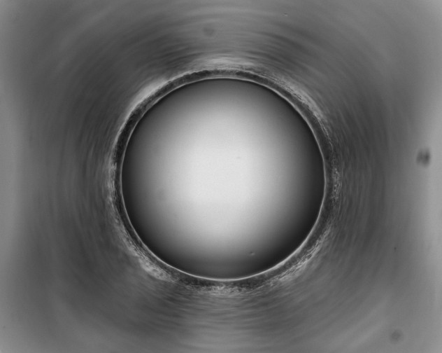 X0000100361029200806131010