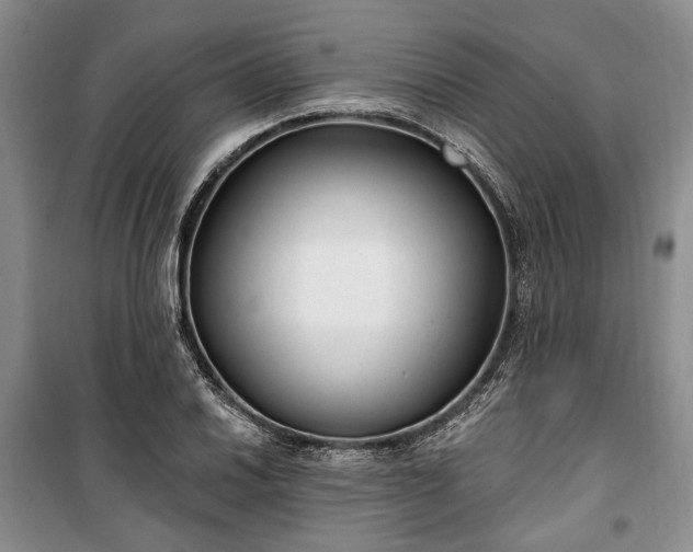 X0000100361030200806131010