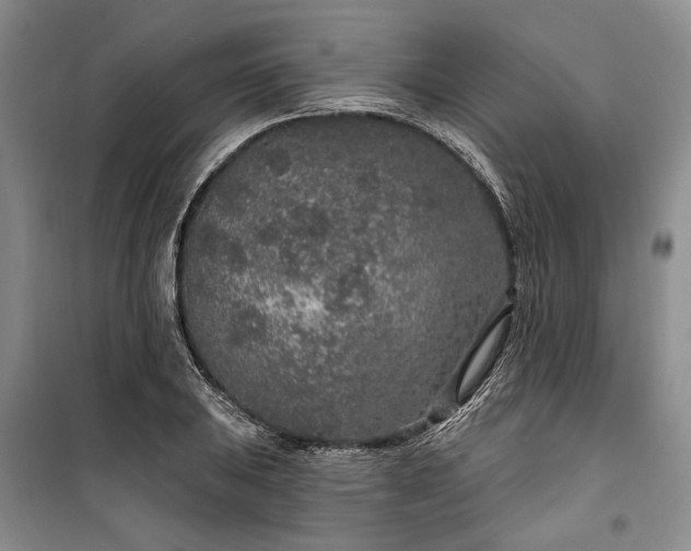 X0000100361031200806131010