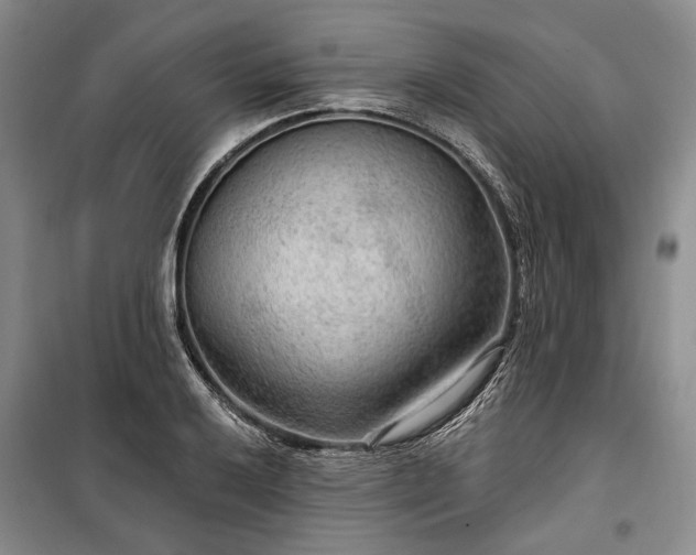 X0000100361032200806131010