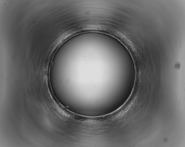 X0000100361033200806131010