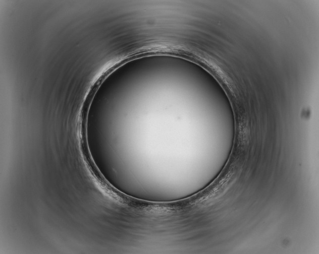 X0000100361034200806131010