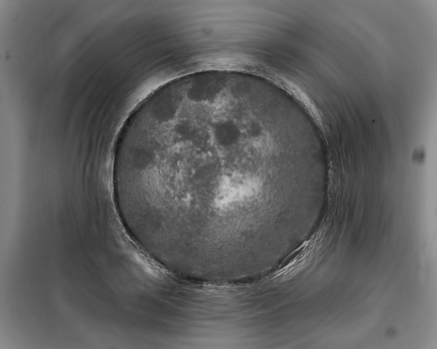 X0000100361035200806131010