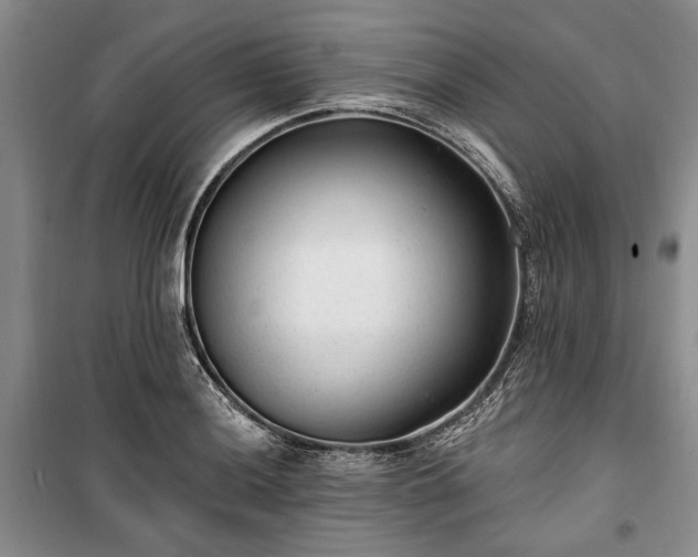 X0000100361036200806131010