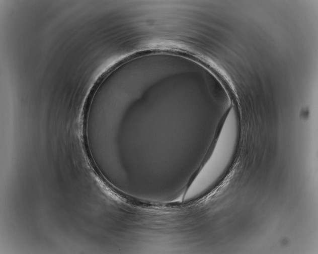 X0000100361037200806131010