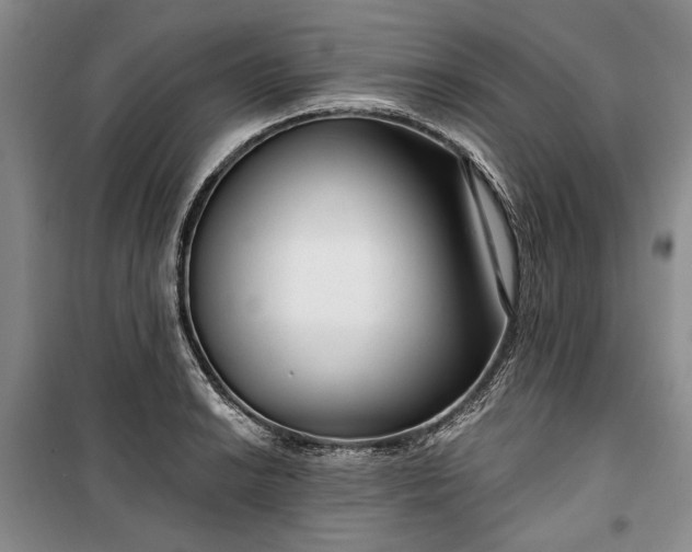 X0000100361038200806131010