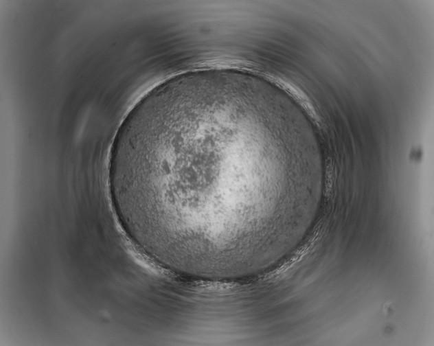 X0000100361039200806131010