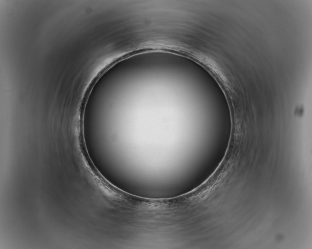 X0000100361040200806131010