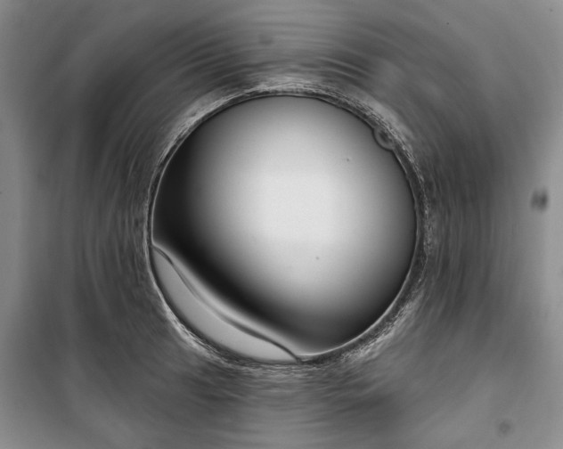 X0000100361041200806131010