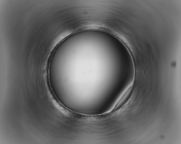 X0000100361042200806131010