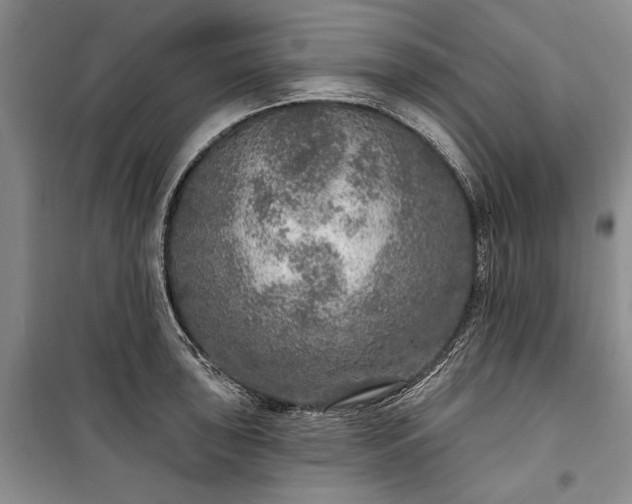 X0000100361043200806131010