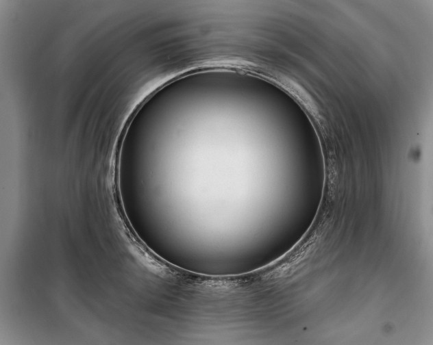 X0000100361044200806131010