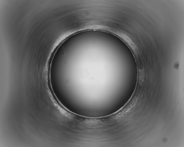 X0000100361046200806131010