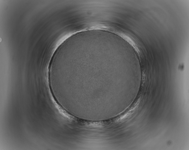 X0000100361047200806131011