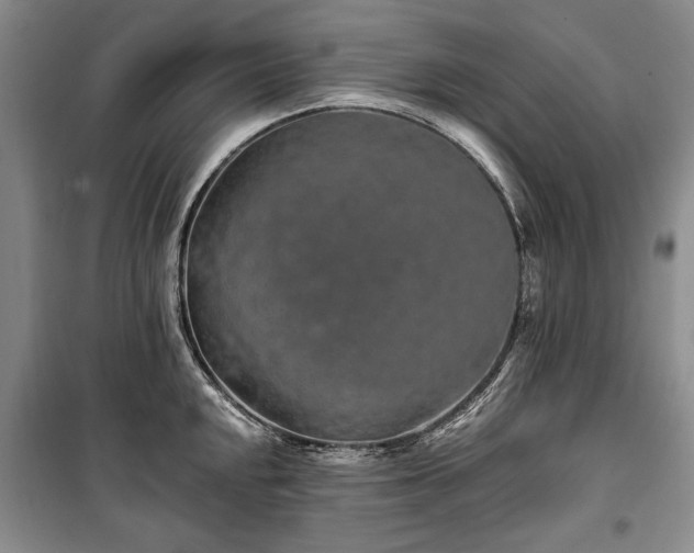 X0000100361048200806131011