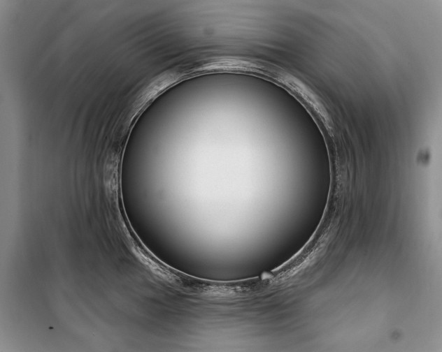 X0000100361049200806131011