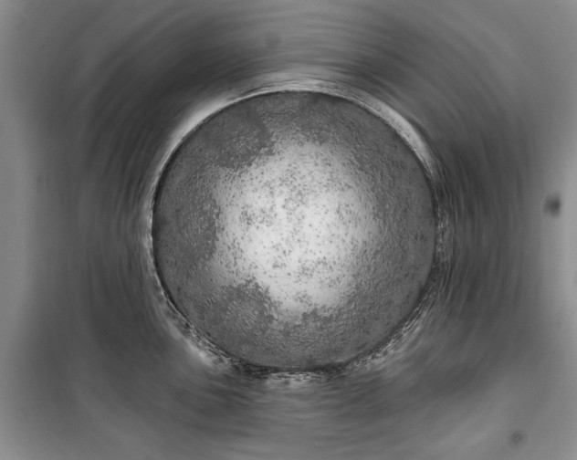 X0000100361051200806131011