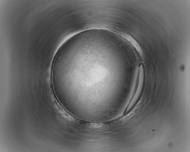 X0000100361052200806131011