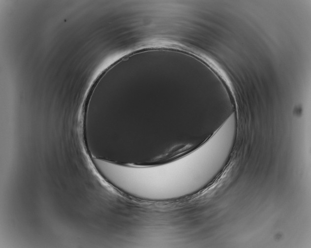 X0000100361053200806131011