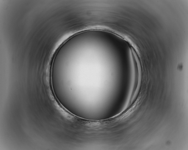 X0000100361054200806131011