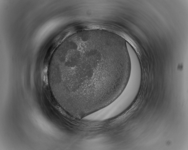 X0000100361055200806131011