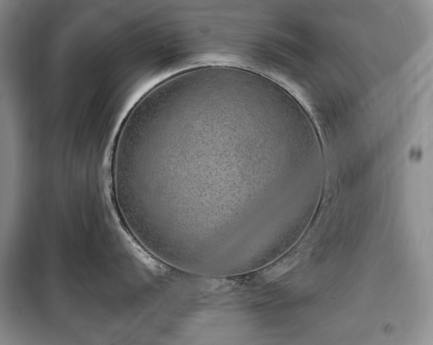 X0000100361056200806131011