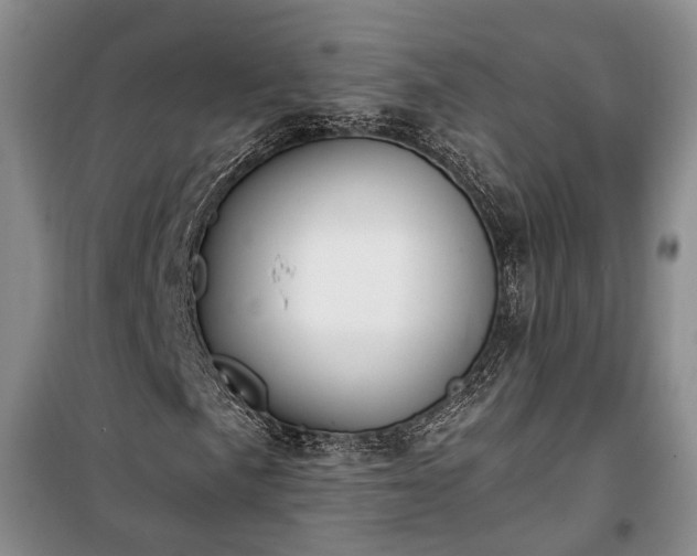 X0000100361057200806131010